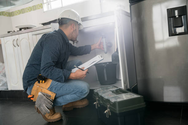 Best Residential Plumbing Services  in Green Oaks, IL