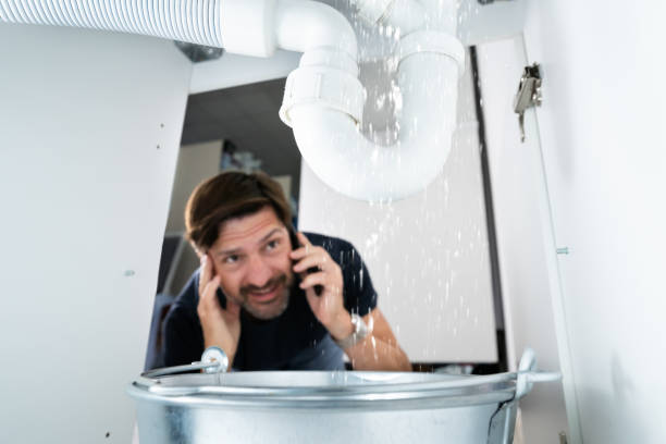 Best Clogged Drain Plumber  in Green Oaks, IL